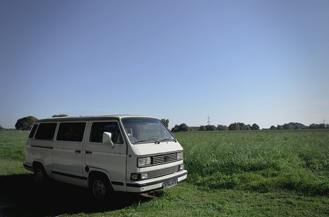 volkswagen u pole.jpg